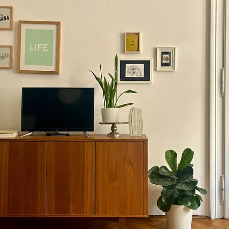 Casa 1903 公寓 *